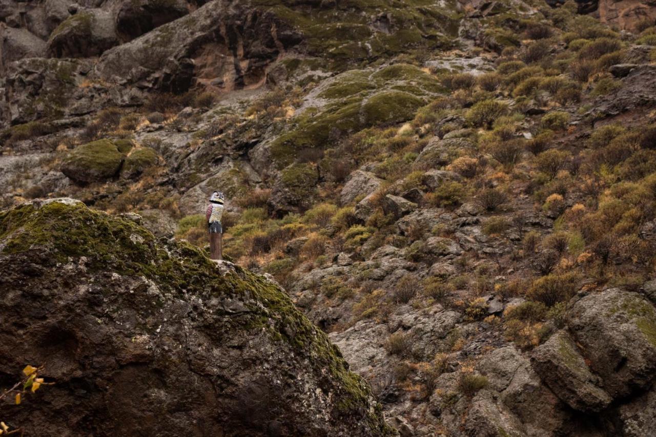 La Vuelta Del Amo Villa Las Palmas de Gran Canaria Dış mekan fotoğraf