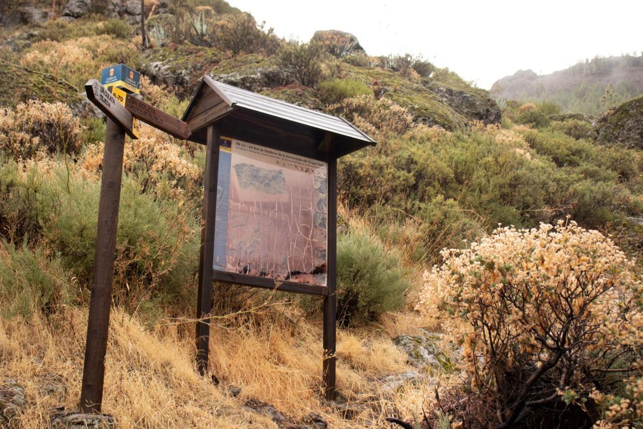 La Vuelta Del Amo Villa Las Palmas de Gran Canaria Dış mekan fotoğraf